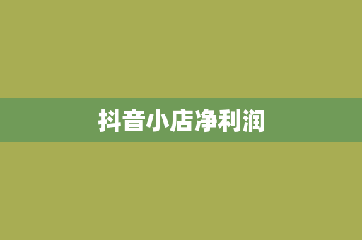 抖音小店净利润