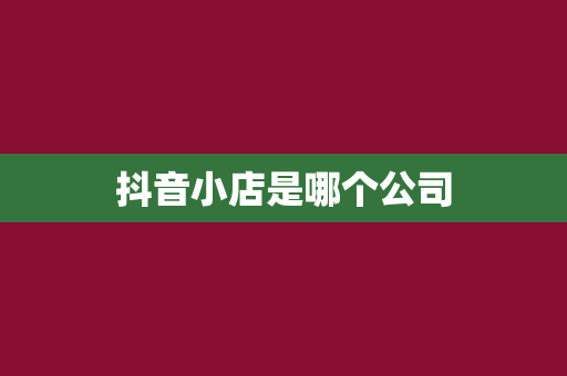 抖音小店是哪个公司