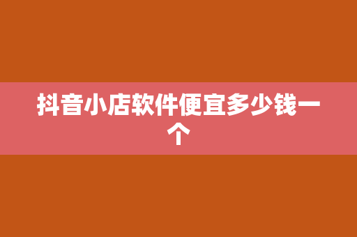 抖音小店软件便宜多少钱一个
