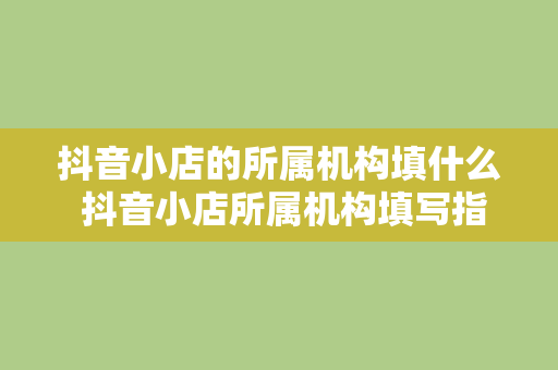 抖音小店的所属机构填什么 抖音小店所属机构填写指南：详解所属机构选项及意义