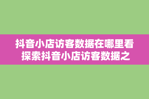 抖音小店访客数据在哪里看 探索抖音小店访客数据之谜：全面解析访客数据获取与分析方法