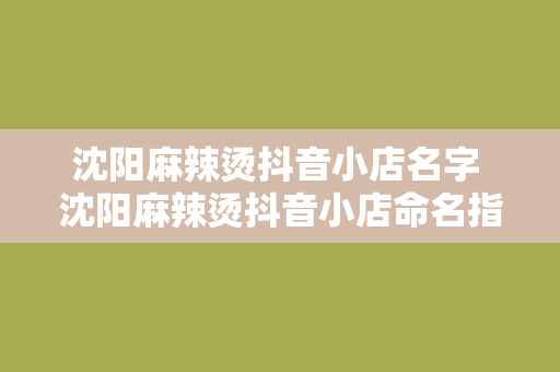 沈阳麻辣烫抖音小店名字 沈阳麻辣烫抖音小店命名指南：吸引眼球的店名创意