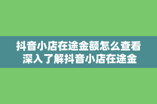 抖音小店在途金额怎么查看 深入了解抖音小店在途金额查看方法及运营策略