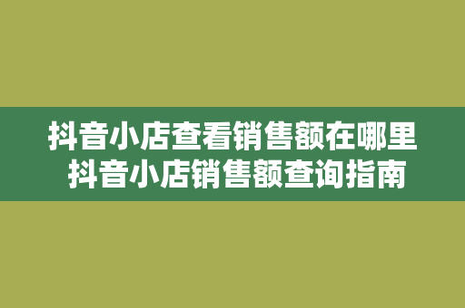 抖音小店查看销售额在哪里 抖音小店销售额查询指南：轻松掌握店铺经营状况