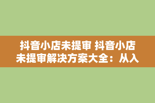 抖音小店未提审 抖音小店未提审解决方案大全：从入门到精通