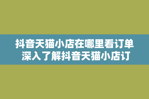 抖音天猫小店在哪里看订单 深入了解抖音天猫小店订单查看流程及相关操作指南