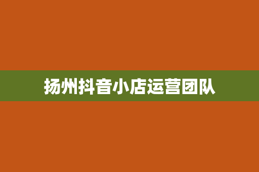 扬州抖音小店运营团队